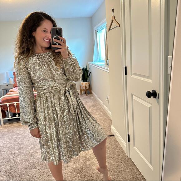 NWT Anthropologie Sachin & Babi Silver Sequin Mini Dress 4 - Picture 2 of 16